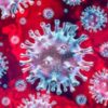 Coronavirus e informazione in provincia di Trapani, c’è qualcosa che non va
