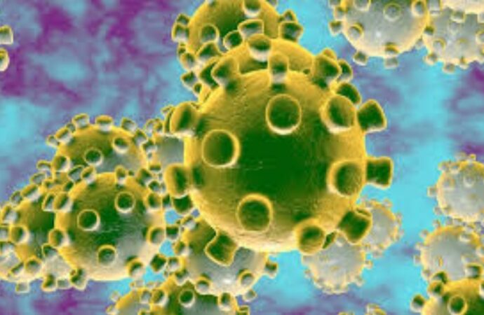 Coronavirus la situazione a Trapani e provincia   +++ Aggiornamento  di giovedì  28 maggio 2020 +++