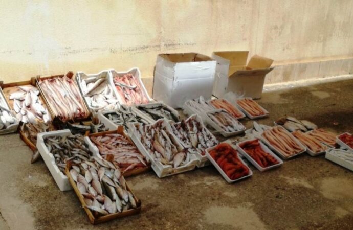 Blitz della polizia municipale in piazzetta dello Scalo, sequestrati 122 chili di pesce a Mazara