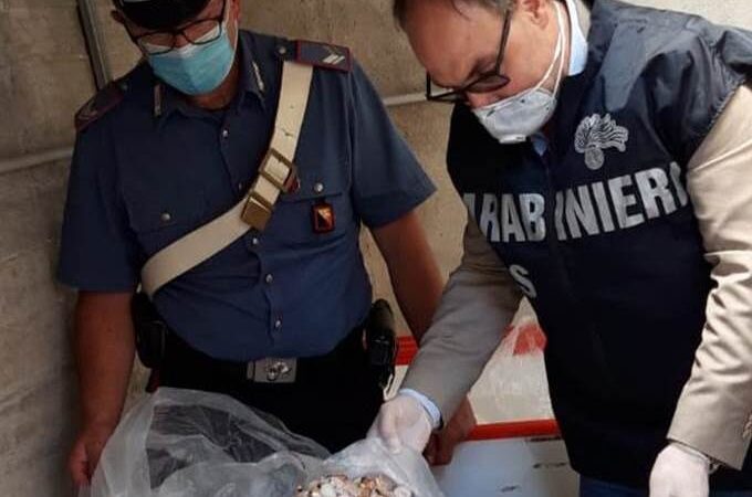 Controlli dei carabinieri sulla sicurezza alimentare, a Salemi multato un commerciante