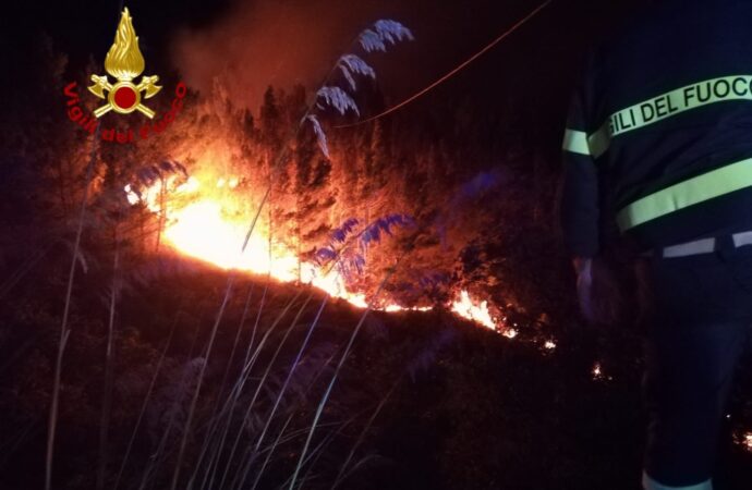 Alcamo, i dettagli dell’incendio sul monte Bonifato