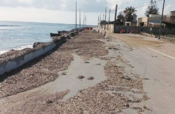 Mazara, finanziamento di 1milione e 800mila per il contrasto all’erosione della costa e ripascimento di un tratto di Tonnarella