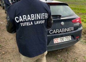 Pantelleria, i carabinieri salvano un airone ferito