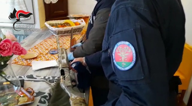 Cicogna bianca uccisa a Marsala: i carabinieri forestali denunciano due persone