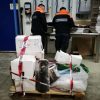 Mazara. La Guardia Costiera sequestra 400 kg di prodotto ittico non a norma