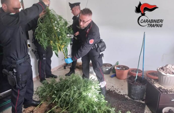 Coltiva droga in casa: una 48enne denunciata dai carabinieri a Marsala