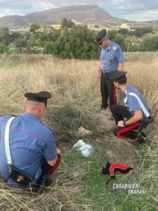 Alcamo, i carabinieri soccorrono un cane ferito